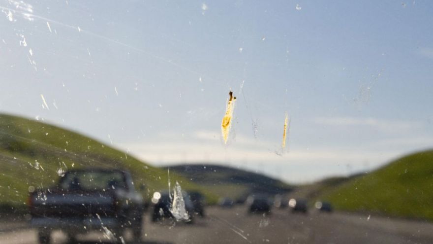 Ne felejts el nyári szélvédőmosóra váltani